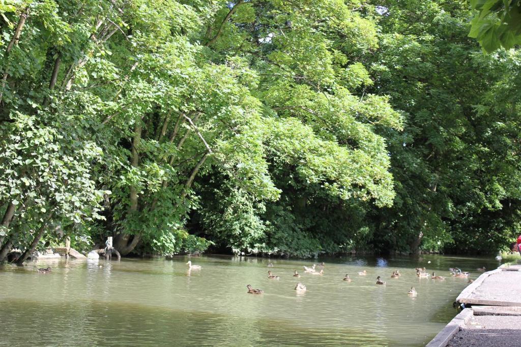 The Golden Pheasant Hotel Burford Esterno foto